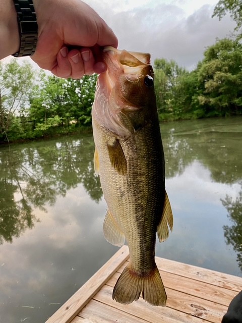 1075 Fannie Nicholson Road Chapmansboro, TN 37035 - Photo 29 of 100