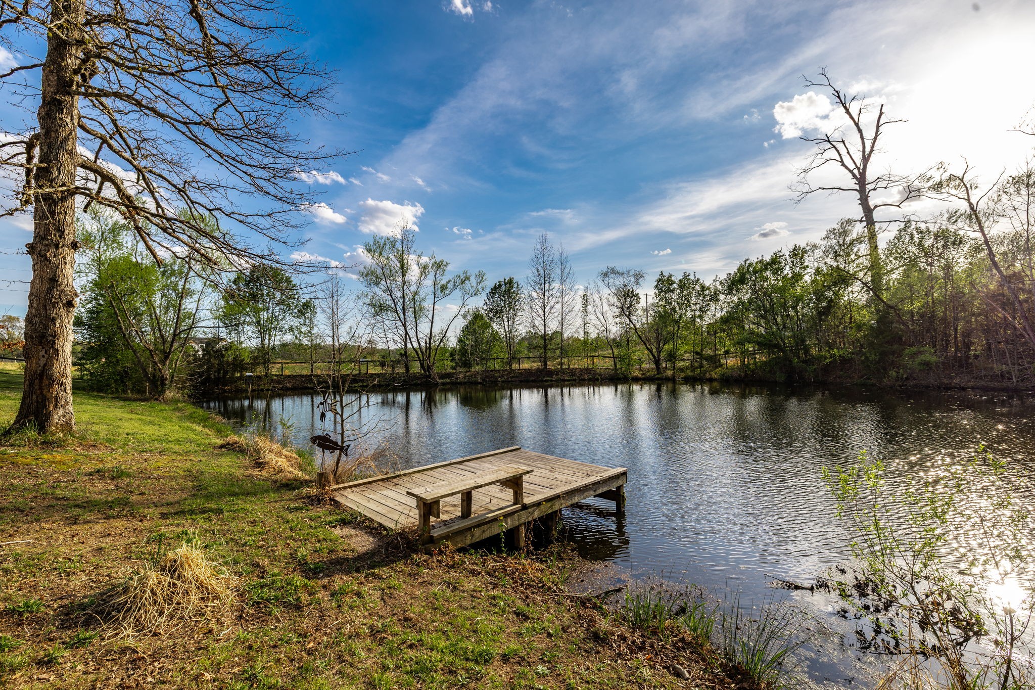 1075 Fannie Nicholson Road Chapmansboro, TN 37035 - Photo 30 of 100