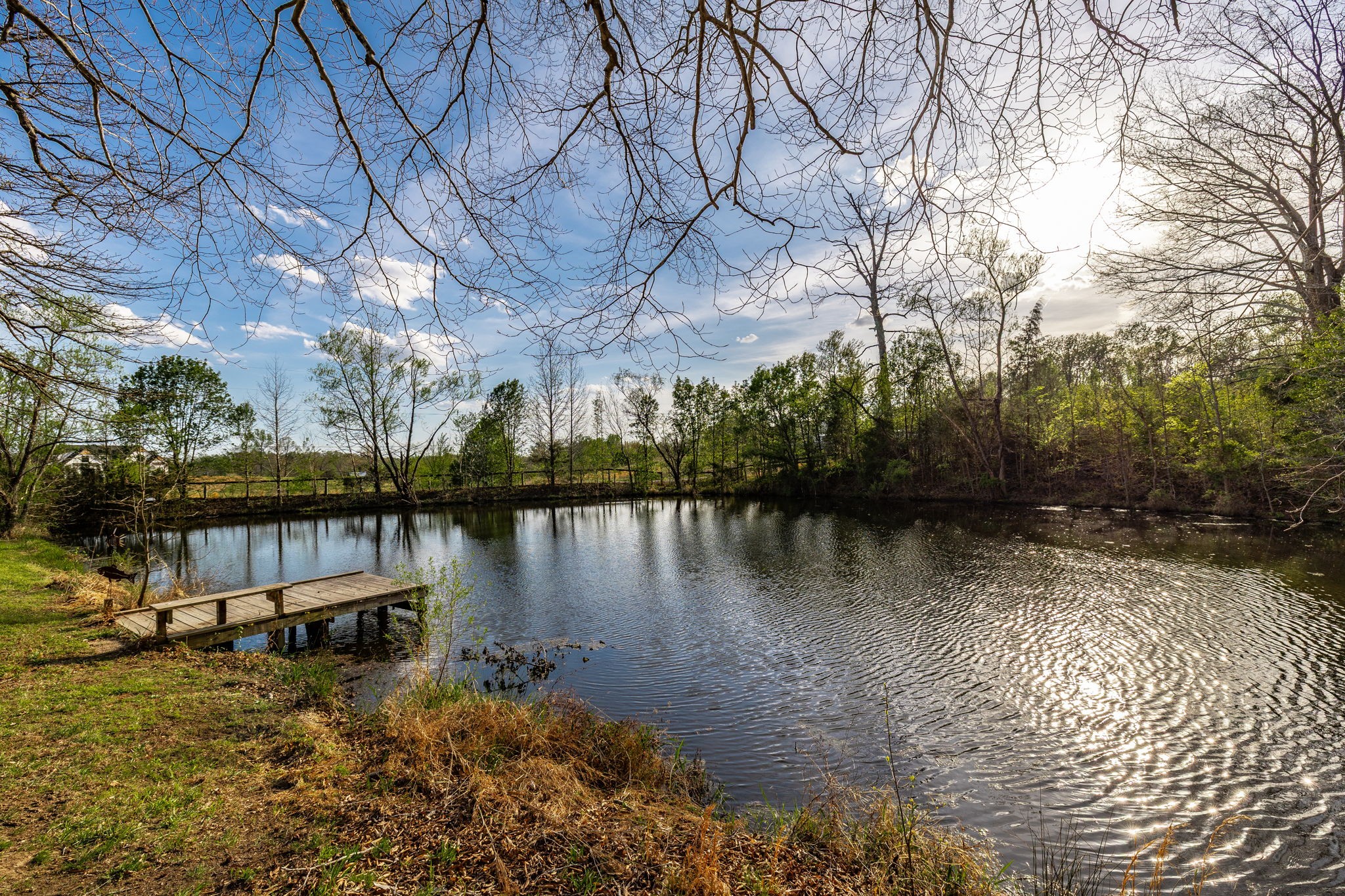 1075 Fannie Nicholson Road Chapmansboro, TN 37035 - Photo 31 of 100