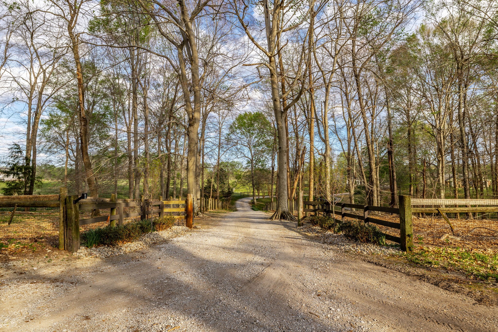 1075 Fannie Nicholson Road Chapmansboro, TN 37035 - Photo 32 of 100 a view of outdoor space with trees