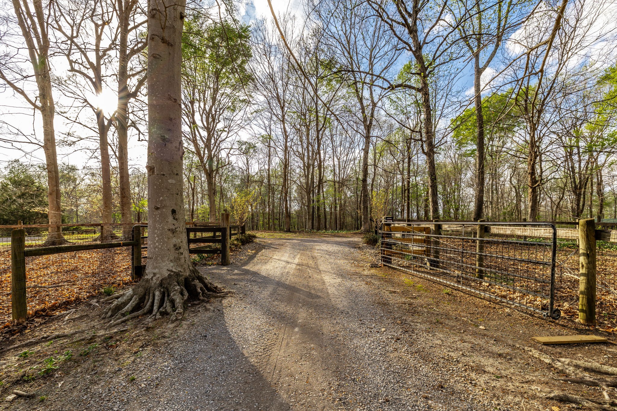 1075 Fannie Nicholson Road Chapmansboro, TN 37035 - Photo 33 of 100