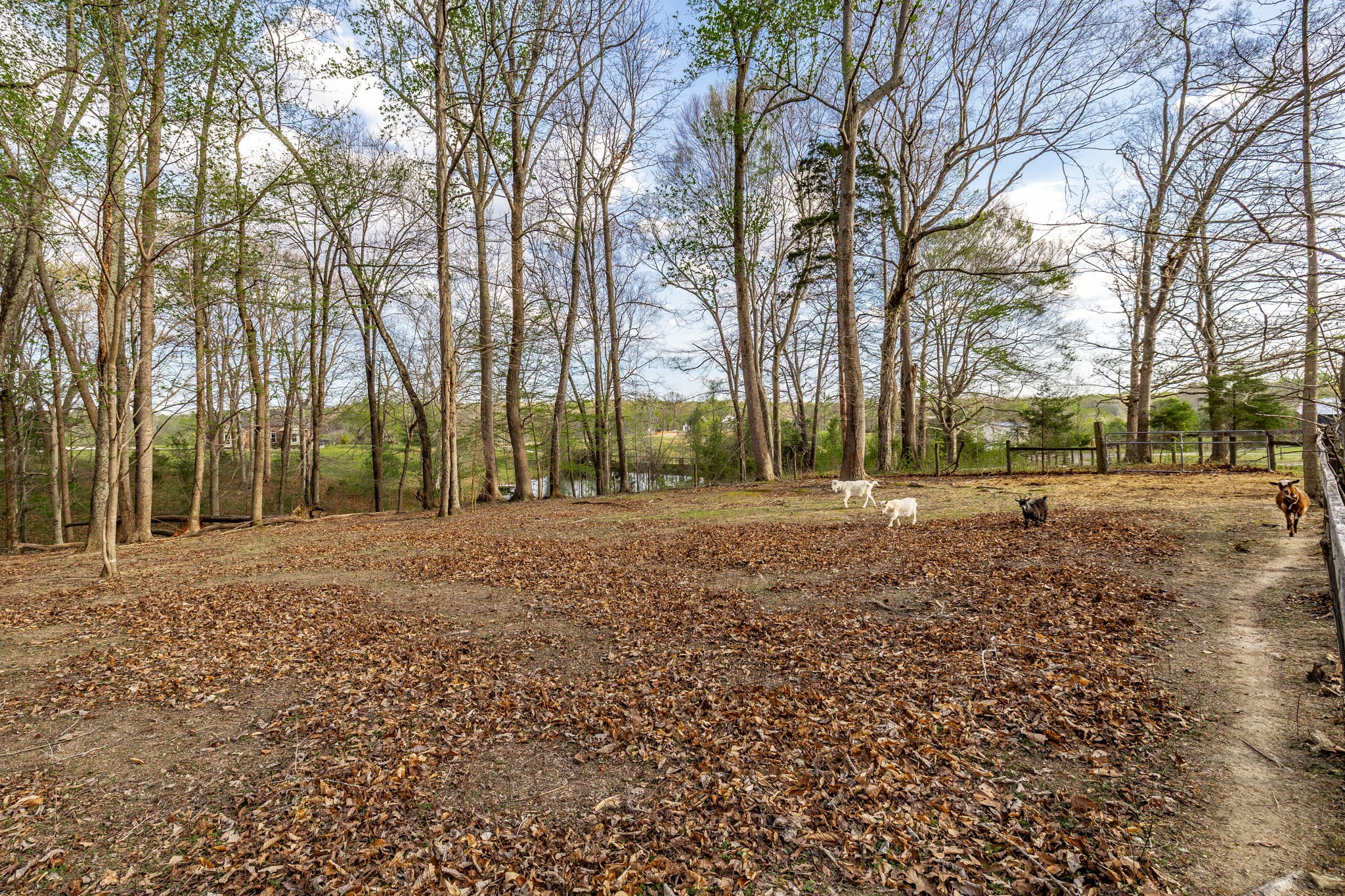 1075 Fannie Nicholson Road Chapmansboro, TN 37035 - Photo 34 of 100