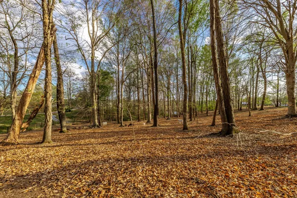 $1,150,000 | 1075 Fannie Nicholson Road, Chapmansboro, TN 37035