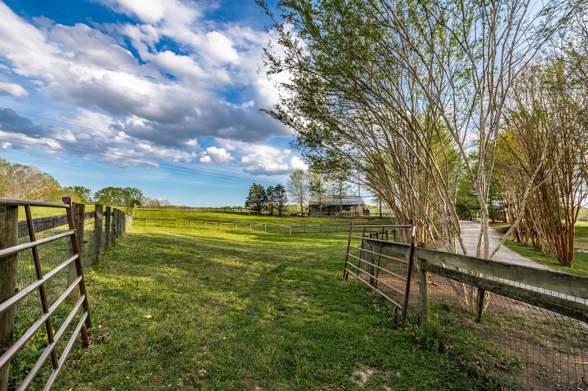 1075 Fannie Nicholson Road Chapmansboro, TN 37035 - Photo 36 of 100 a view of an outdoor space and yard