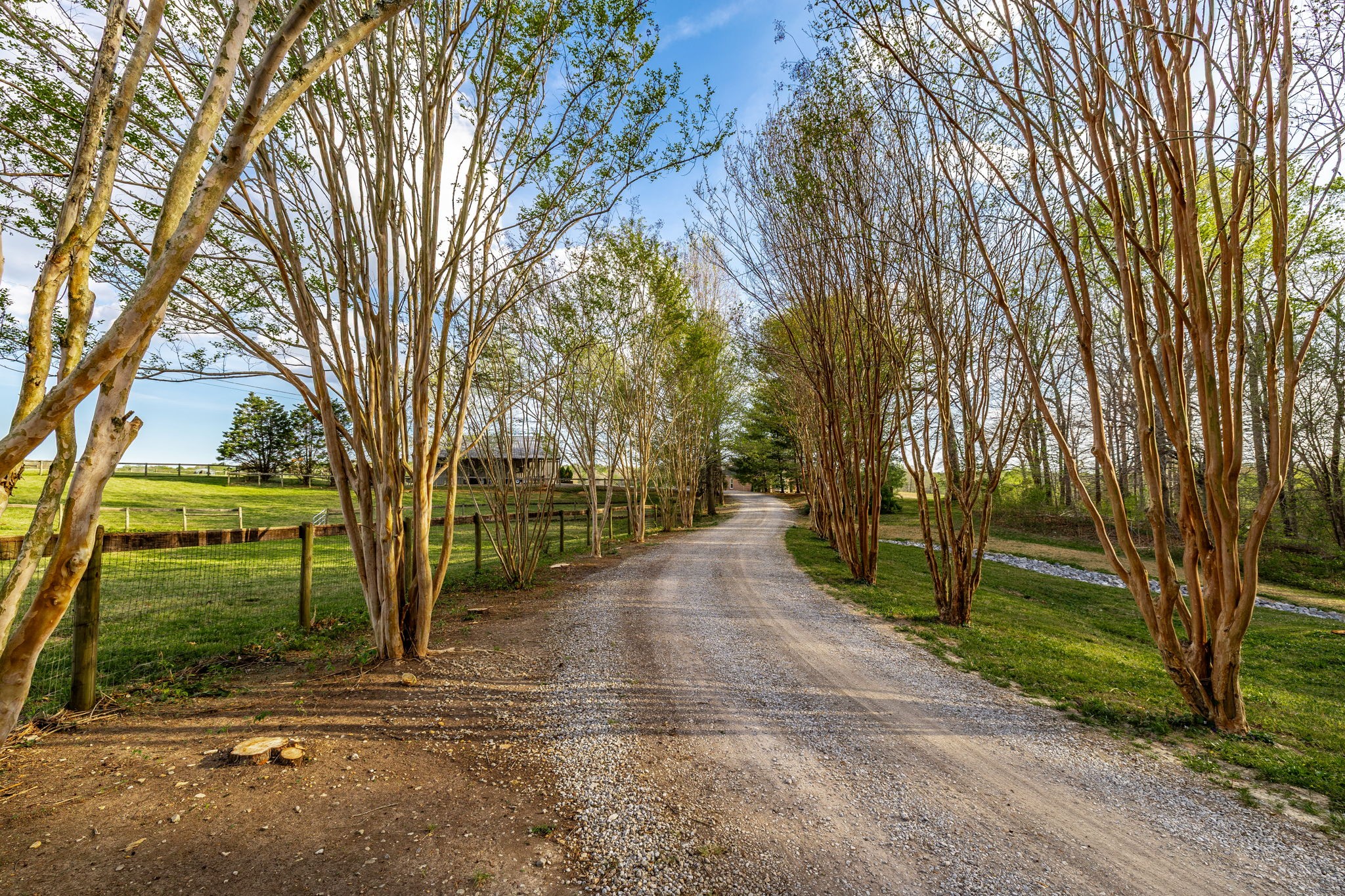 1075 Fannie Nicholson Road Chapmansboro, TN 37035 - Photo 37 of 100 a view of a park with large trees