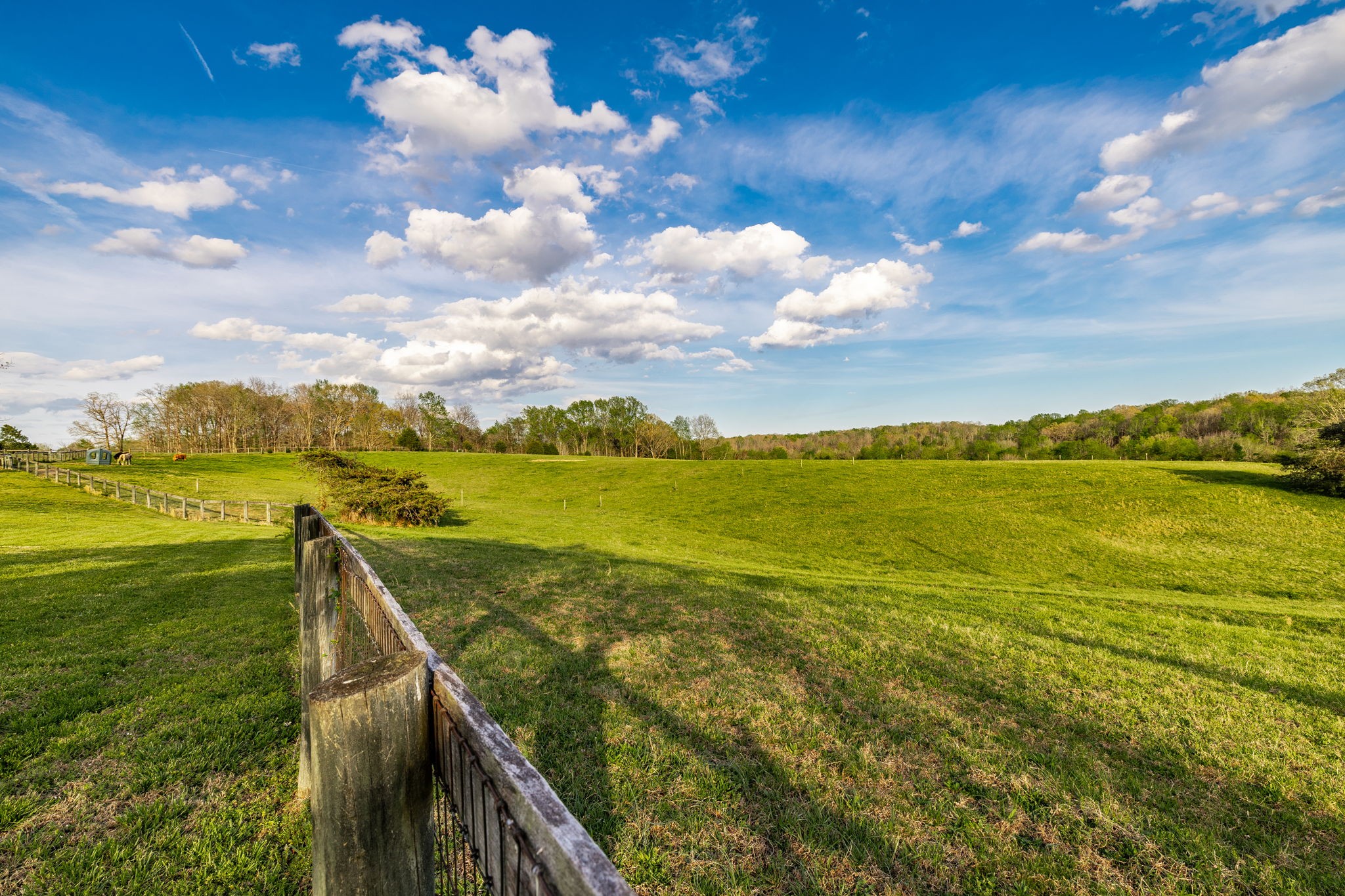 1075 Fannie Nicholson Road Chapmansboro, TN 37035 - Photo 39 of 100