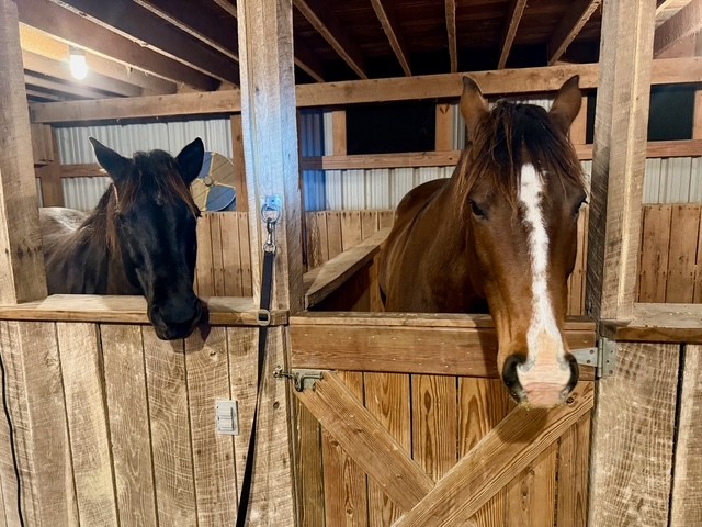 1075 Fannie Nicholson Road Chapmansboro, TN 37035 - Photo 48 of 100 a view of walk in closet with clothes and shoes