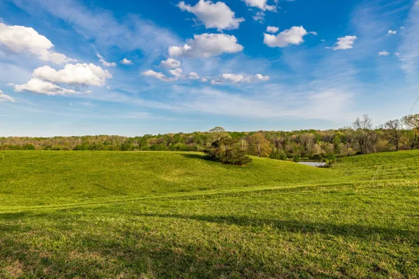 $1,150,000 | 1075 Fannie Nicholson Road, Chapmansboro, TN 37035