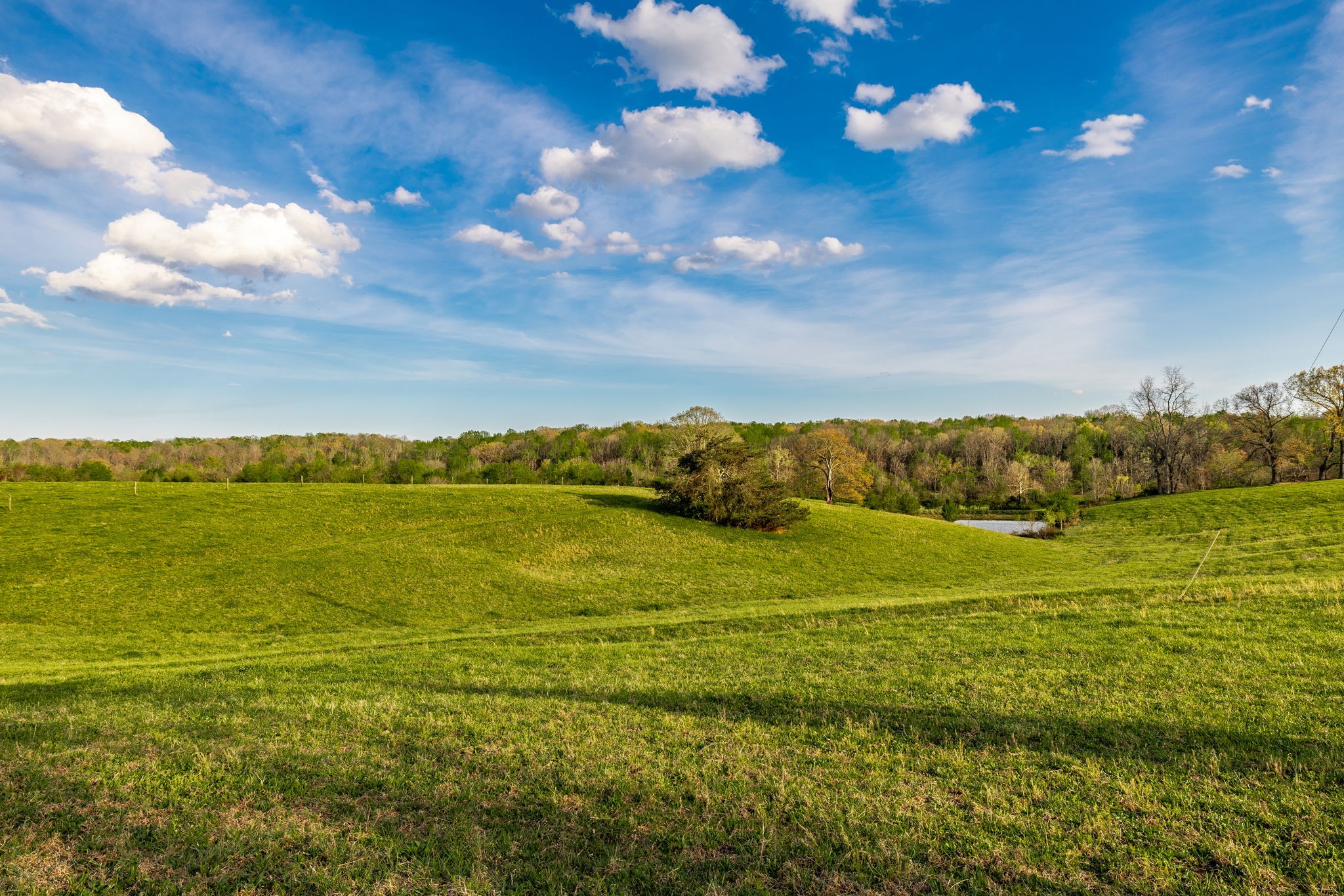 1075 Fannie Nicholson Road Chapmansboro, TN 37035 - Photo 56 of 100 a view of an ocean and beach