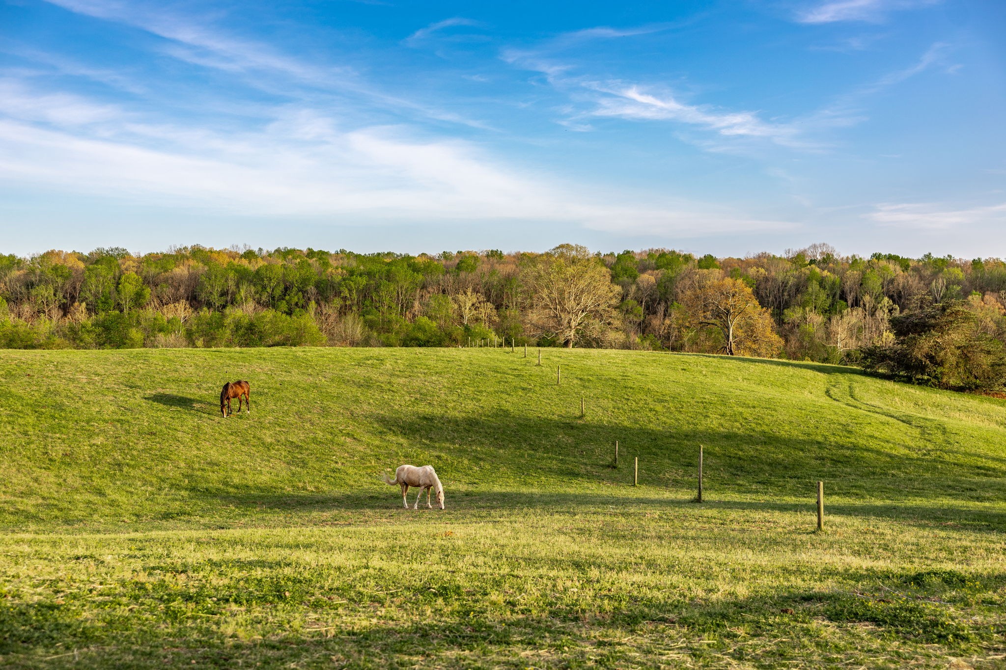 1075 Fannie Nicholson Road Chapmansboro, TN 37035 - Photo 57 of 100