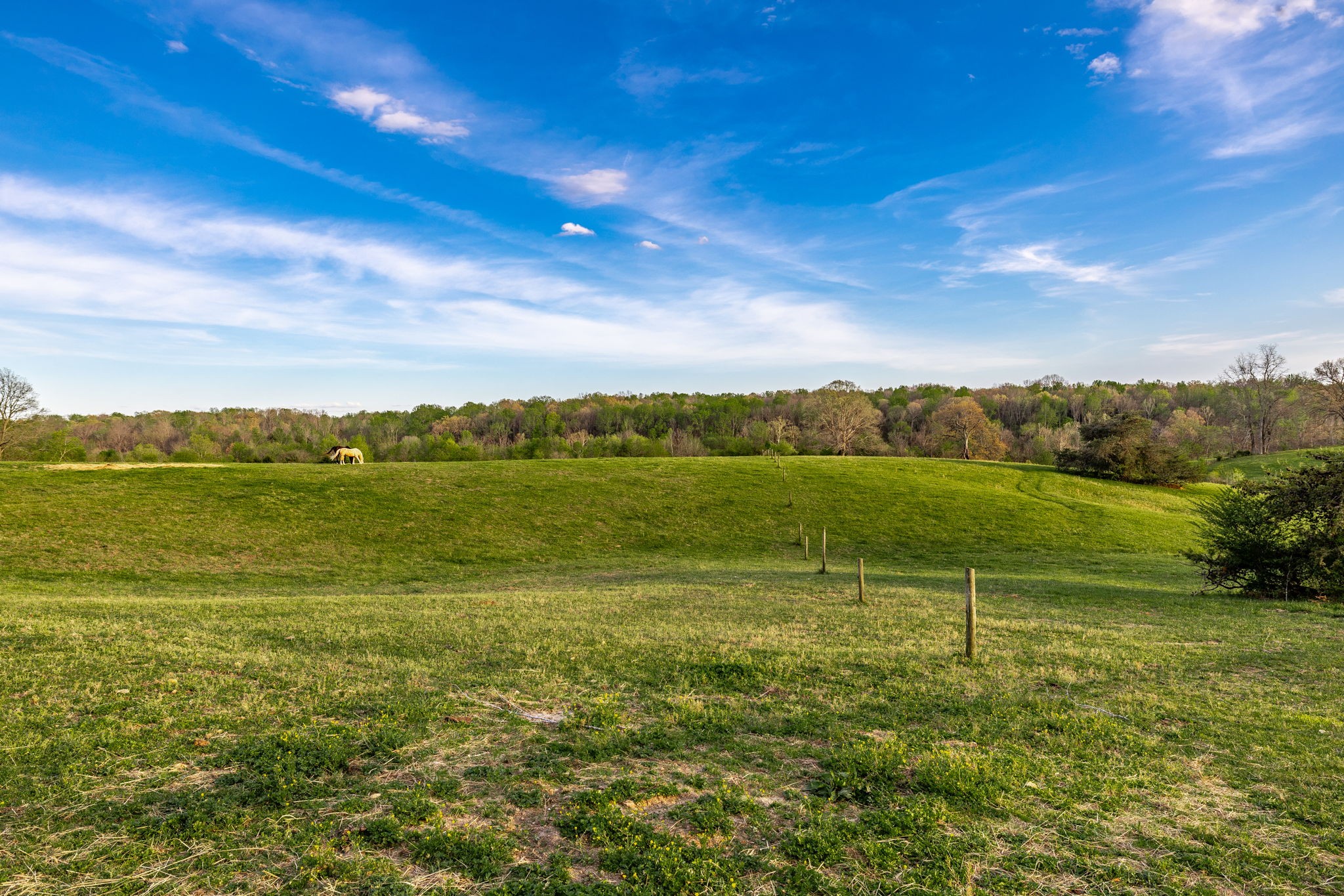 1075 Fannie Nicholson Road Chapmansboro, TN 37035 - Photo 60 of 100