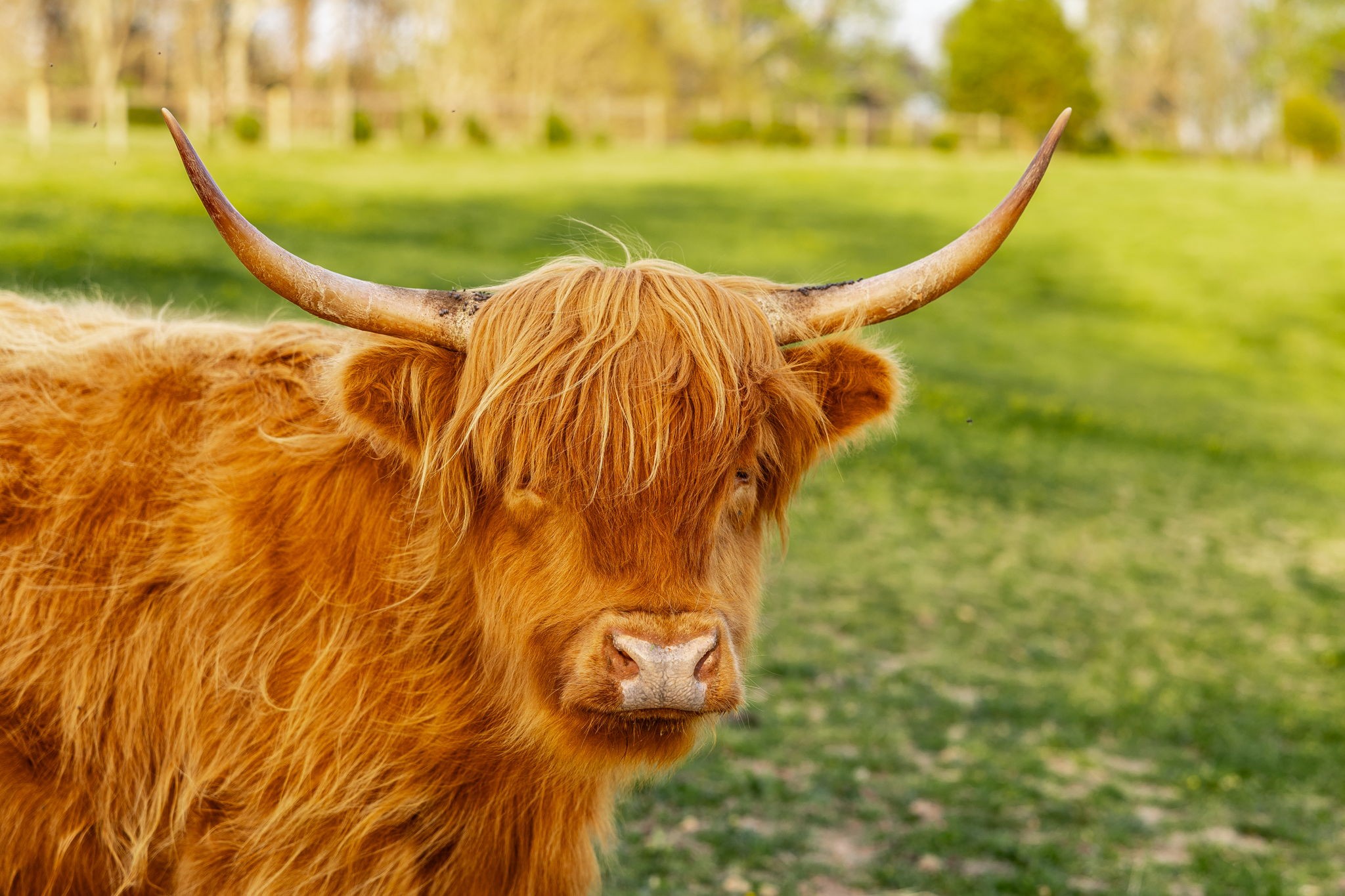 1075 Fannie Nicholson Road Chapmansboro, TN 37035 - Photo 61 of 100