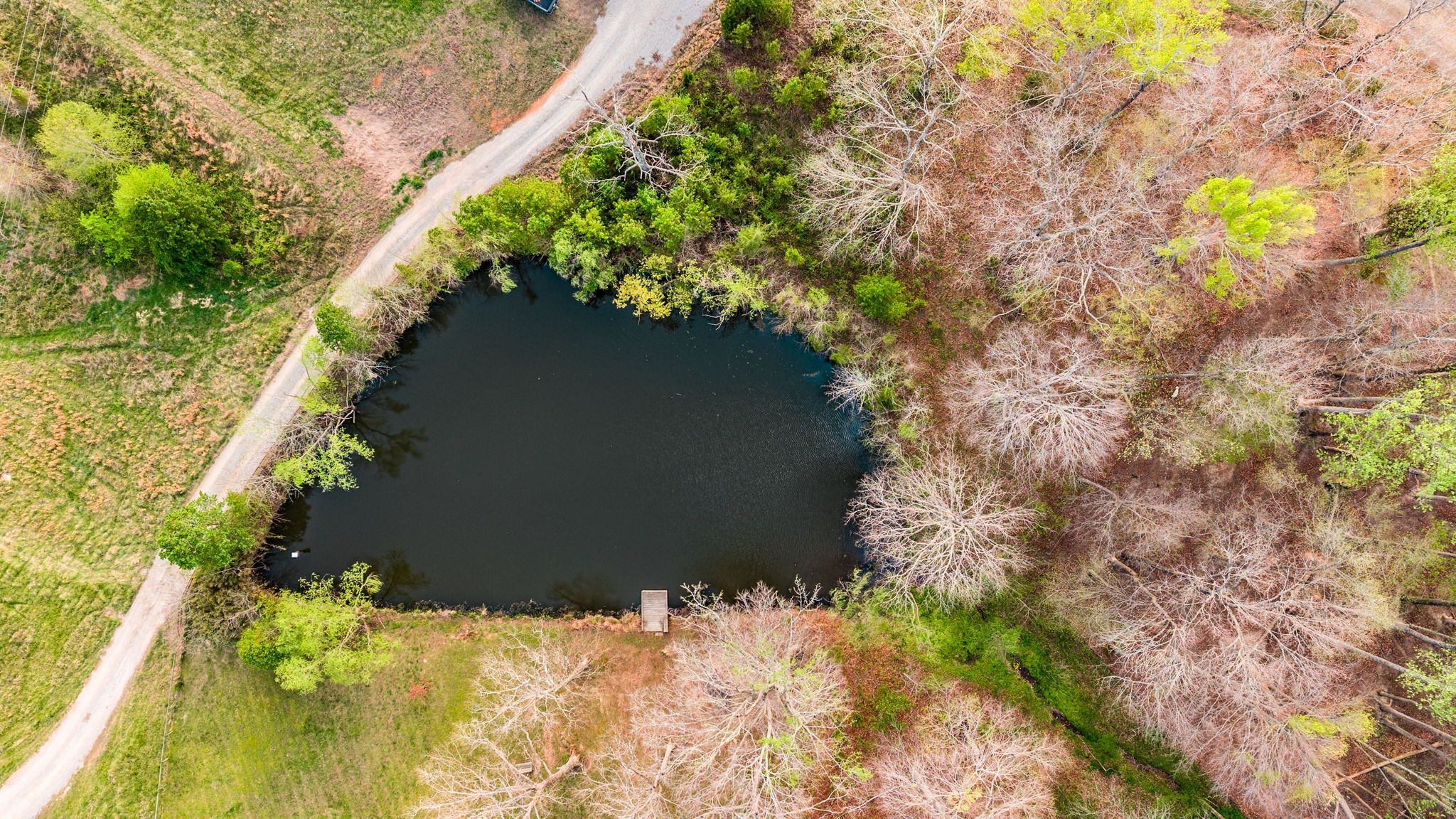 1075 Fannie Nicholson Road Chapmansboro, TN 37035 - Photo 7 of 100