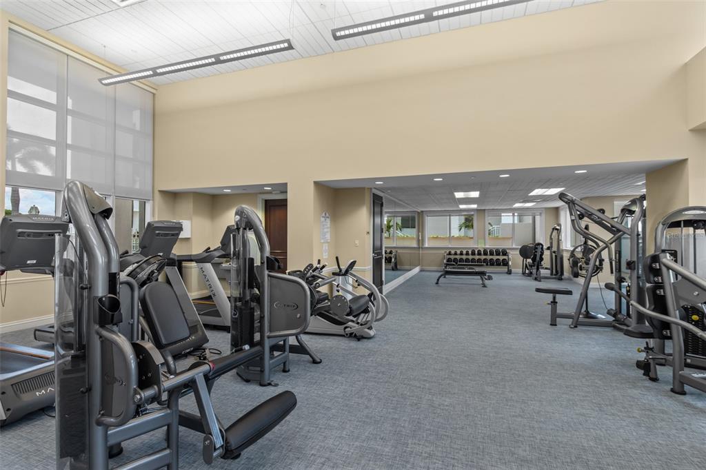 331 Cleveland Street, Unit 2102 Clearwater, FL 33755 - Photo 49 of 66 a view of a room with gym equipment