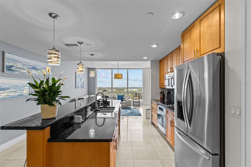 331 Cleveland Street, Unit 2102 Clearwater, FL 33755 - Photo 6 of 66