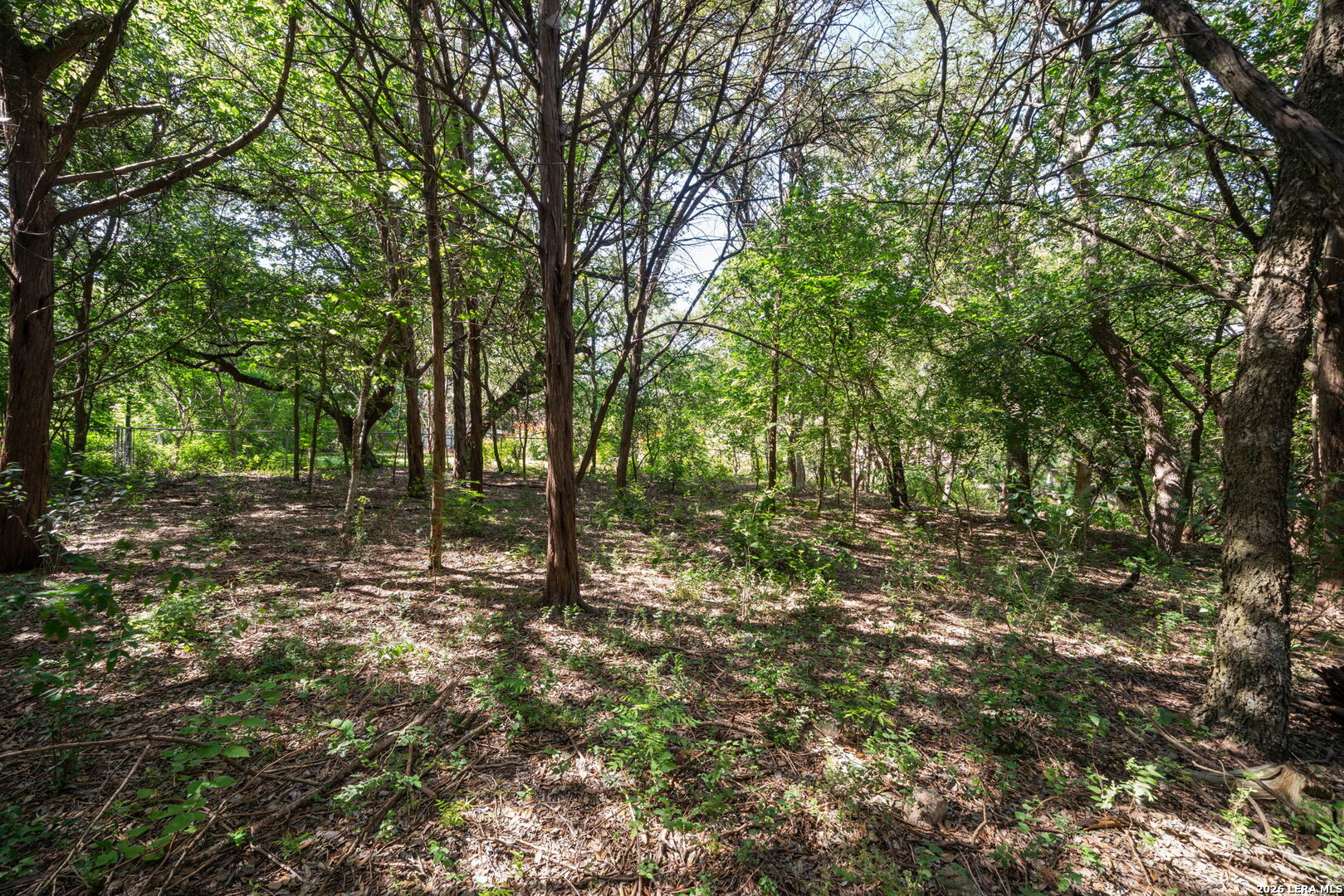 9611 Azalea Circle Garden Ridge, TX 78266 - Photo 44 of 50