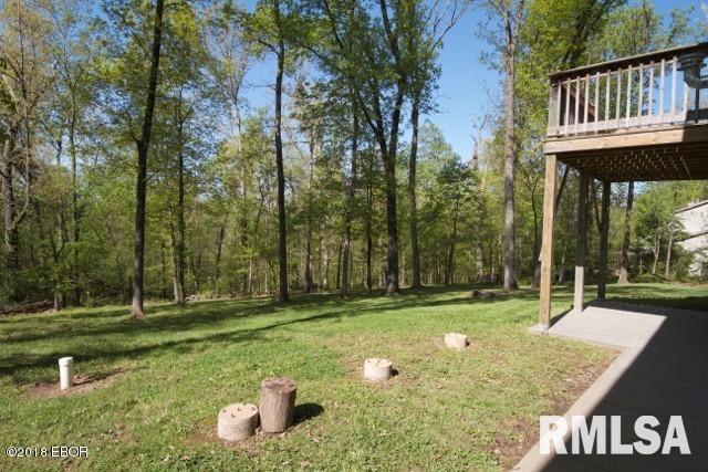 458 Phillips Road Carbondale, IL 62902 - Photo 24 of 26