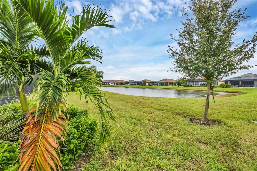 4735 Cassio Court Bradenton, FL 34211 - Photo 39 of 100 a view of a lake with a big yard