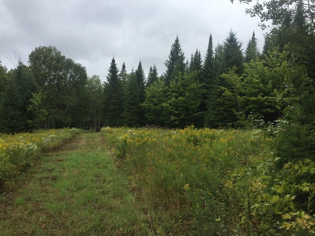 0 West Road New Sweden, ME 04762 - Photo 21 of 22 Photo
