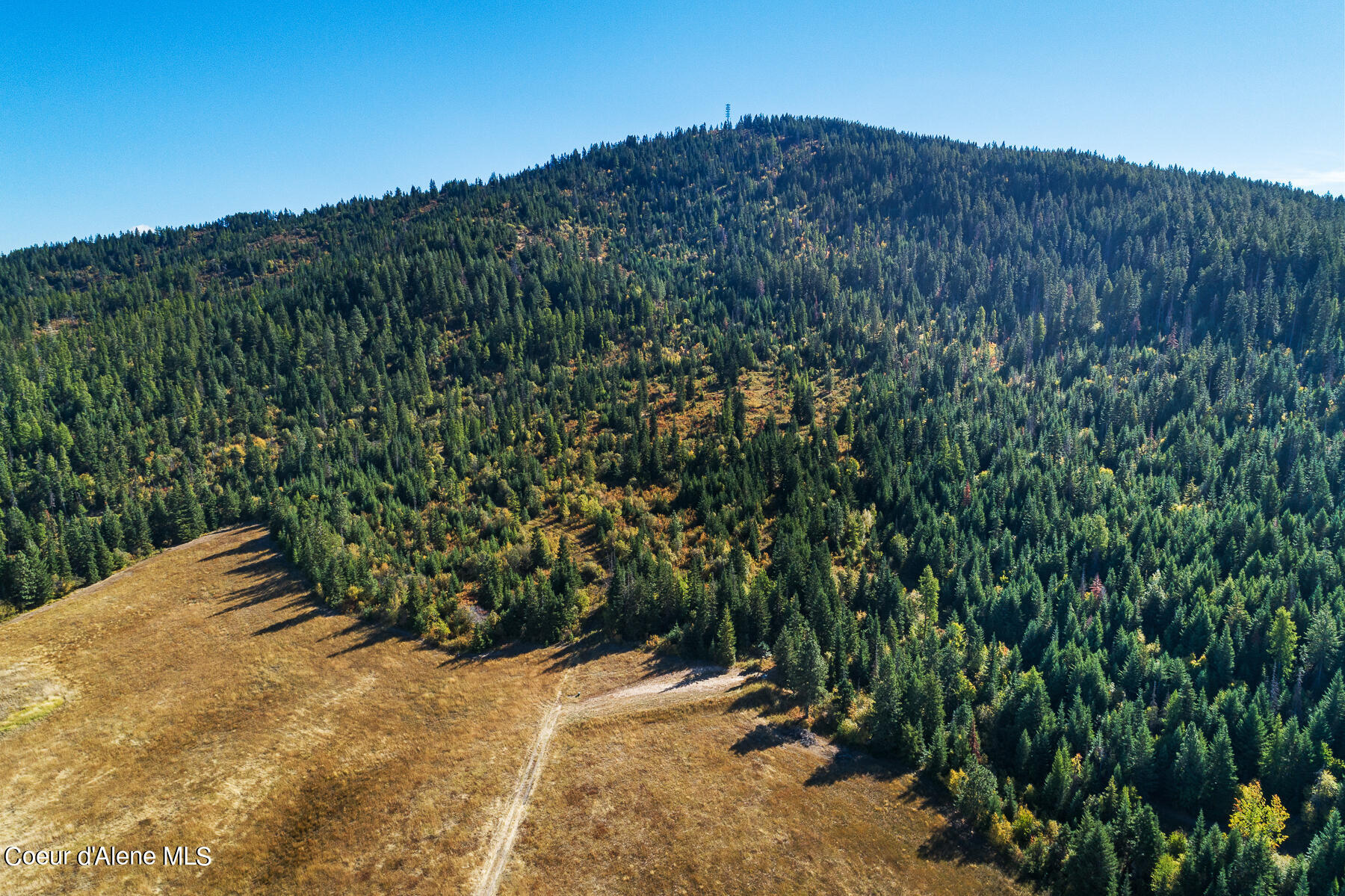 0 Thimbleberry Lane Plummer, ID 83851 - Photo 12 of 16 Aerial View