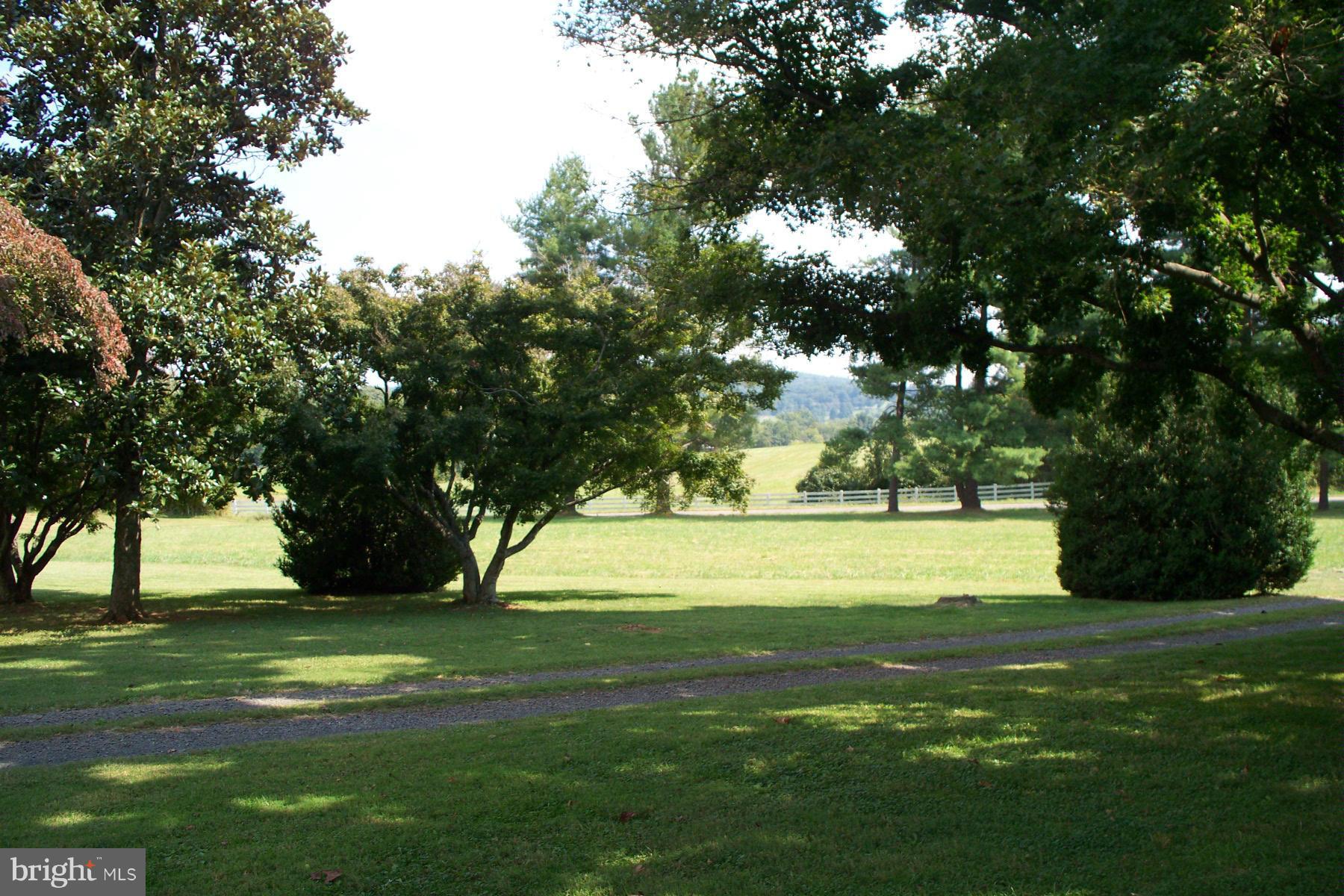7766 Wilson Road Warrenton, VA 20186 - Photo 22 of 30 View across street from front of home