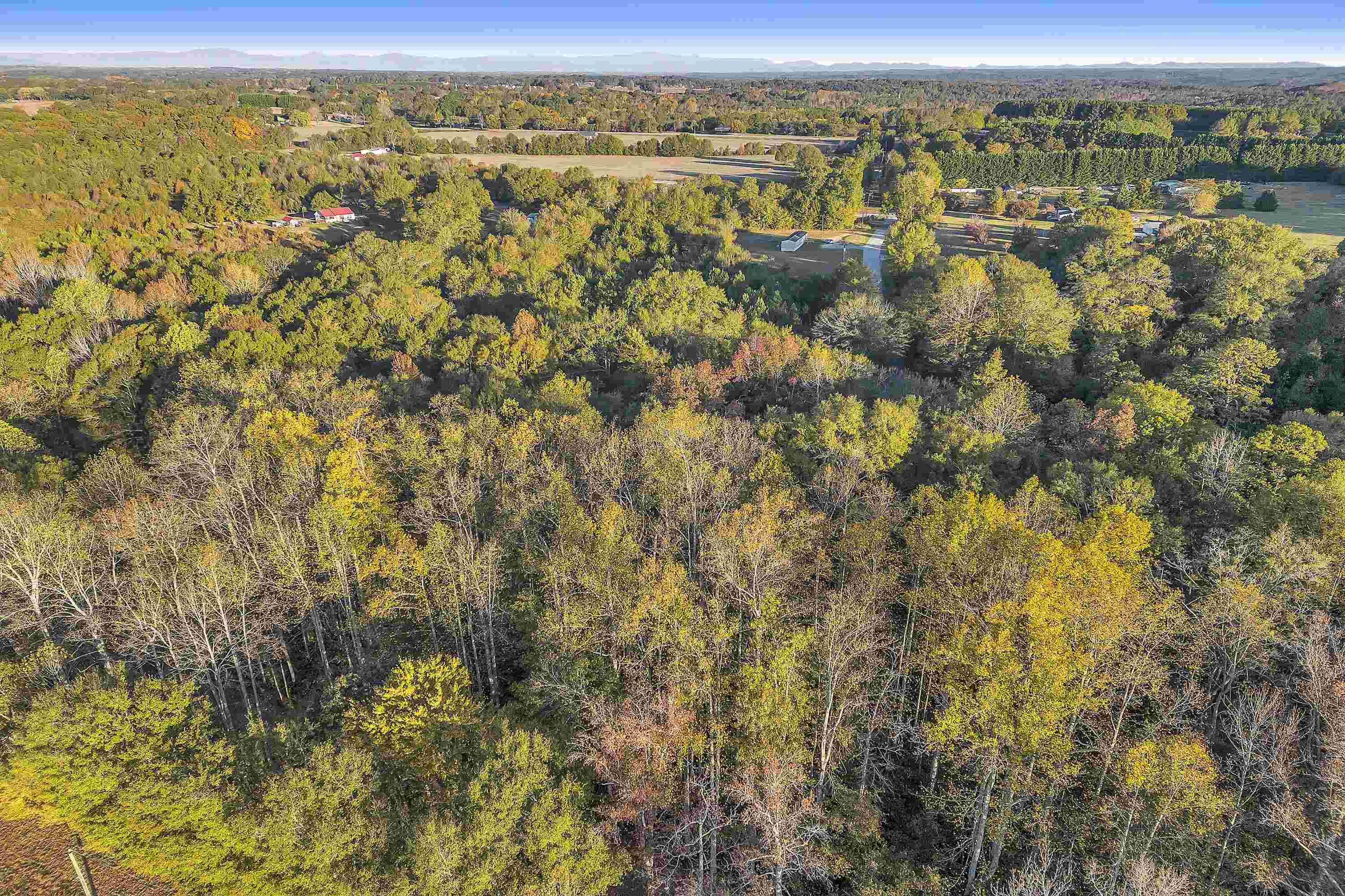 240 State Rd S-42-1885 Chesnee, SC 29323 - Photo 13 of 15
