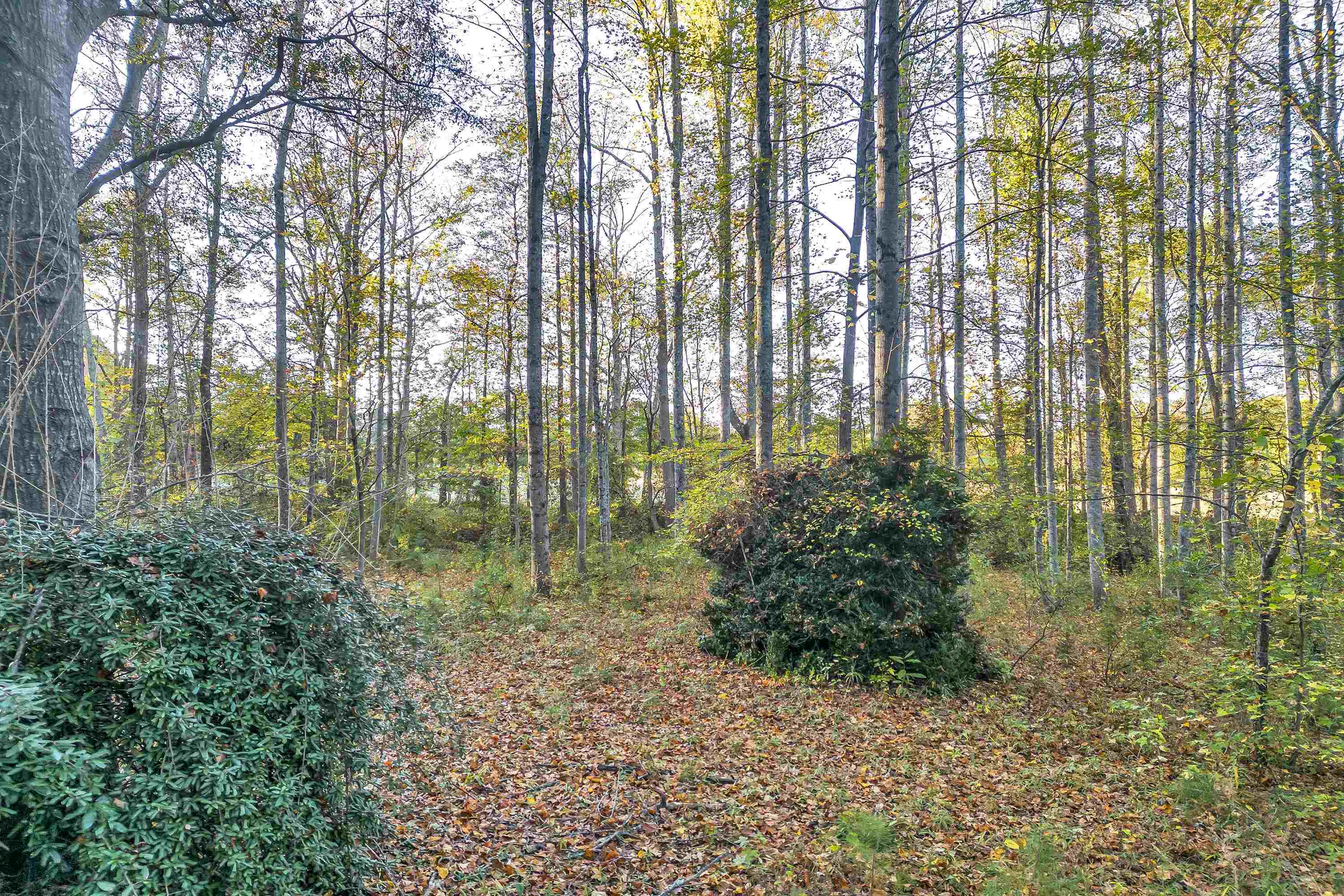 240 State Rd S-42-1885 Chesnee, SC 29323 - Photo 7 of 15