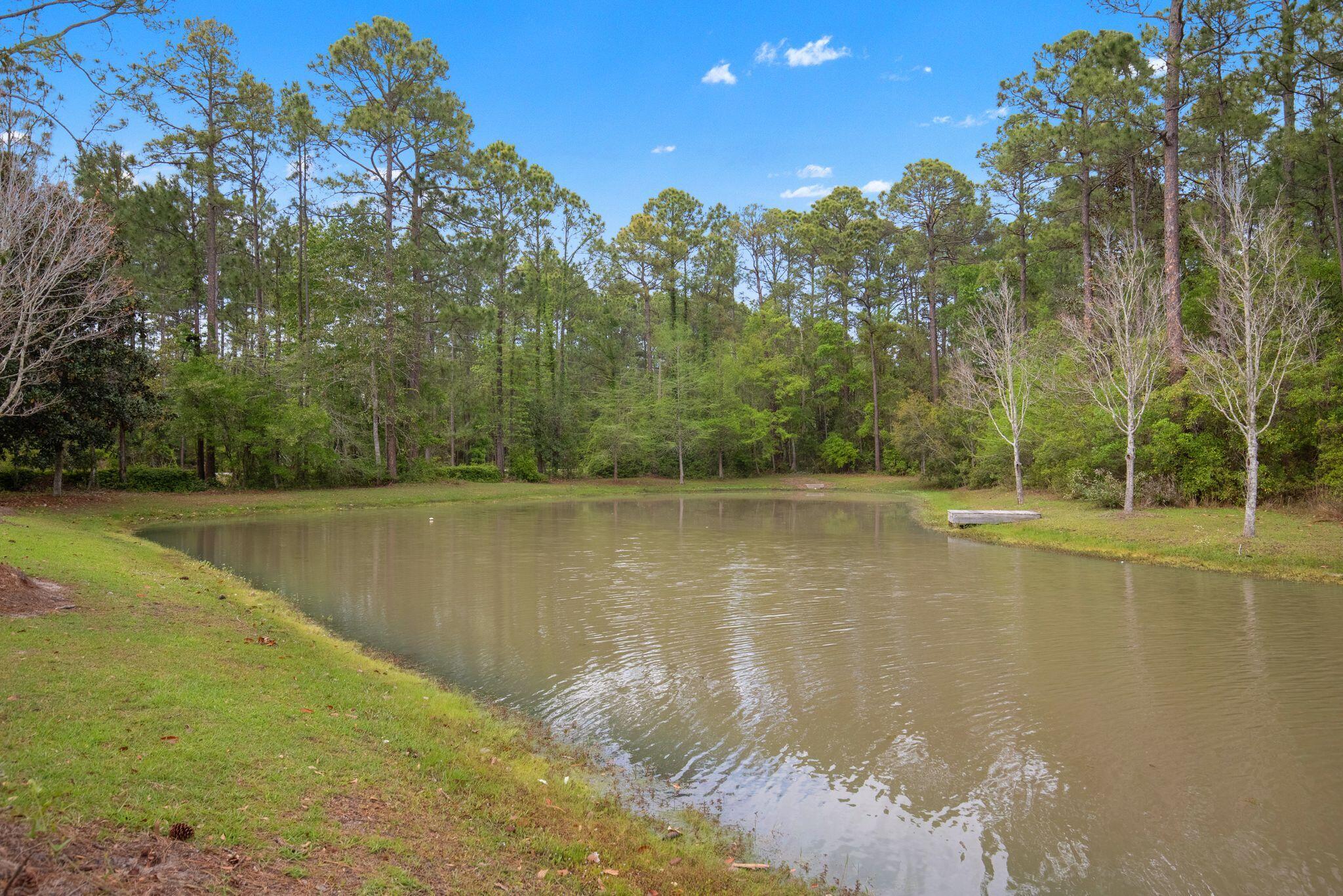 140 Pintail Boulevard Freeport, FL 32439 - Photo 63 of 69 140 Pintail Blvd, Freeport, FL 32439 Ame