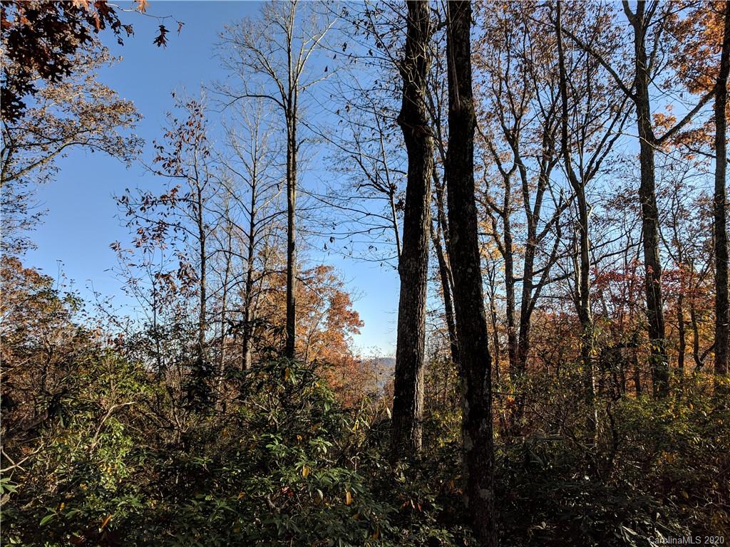 0 Rush Ridge Trail Fairview, NC 28730 - Photo 1 of 1 Gallery Image 1
