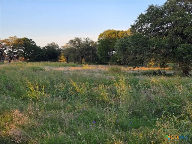 $99,500 | 454 Grand Canyon Drive, Oglesby, TX 76561