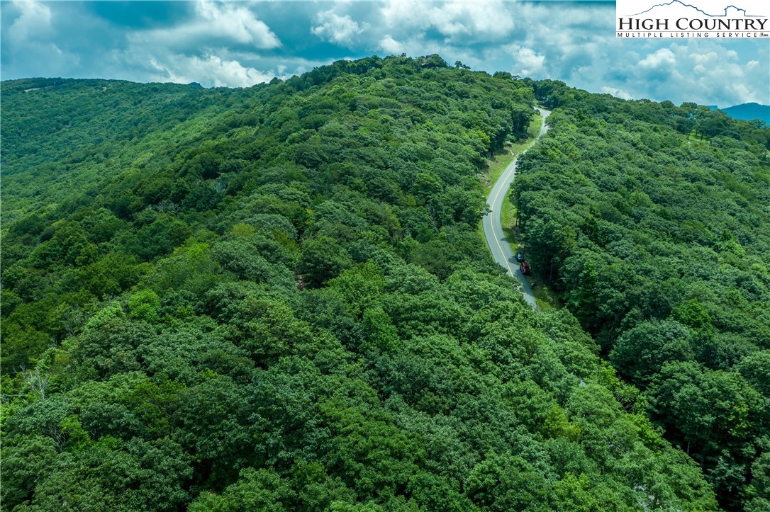 5 Eagles Nest Trail Banner Elk, NC 28604 - Photo 2 of 36 a view of a yard with a tree