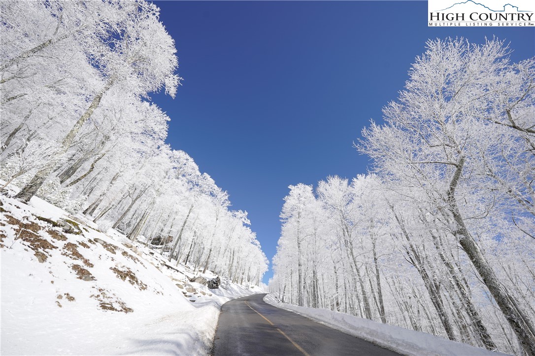 5 Eagles Nest Trail Banner Elk, NC 28604 - Photo 28 of 36