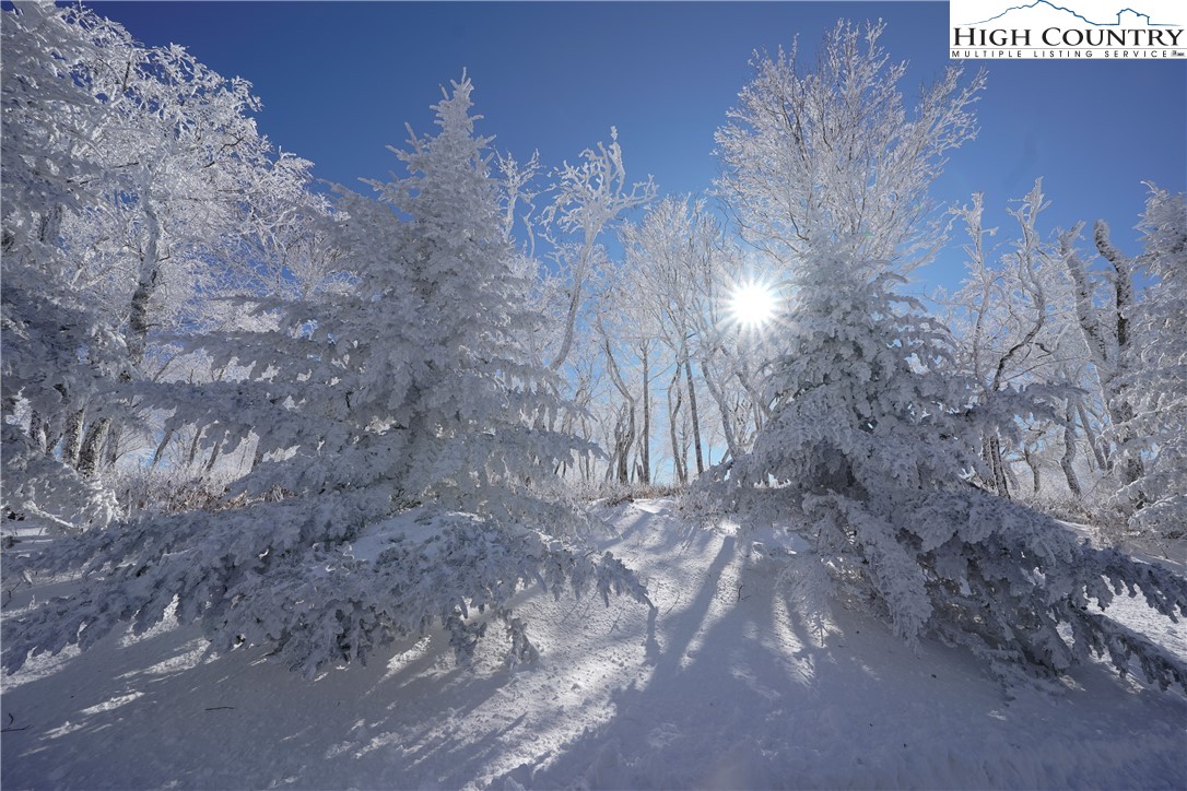 5 Eagles Nest Trail Banner Elk, NC 28604 - Photo 32 of 36 a view of empty room
