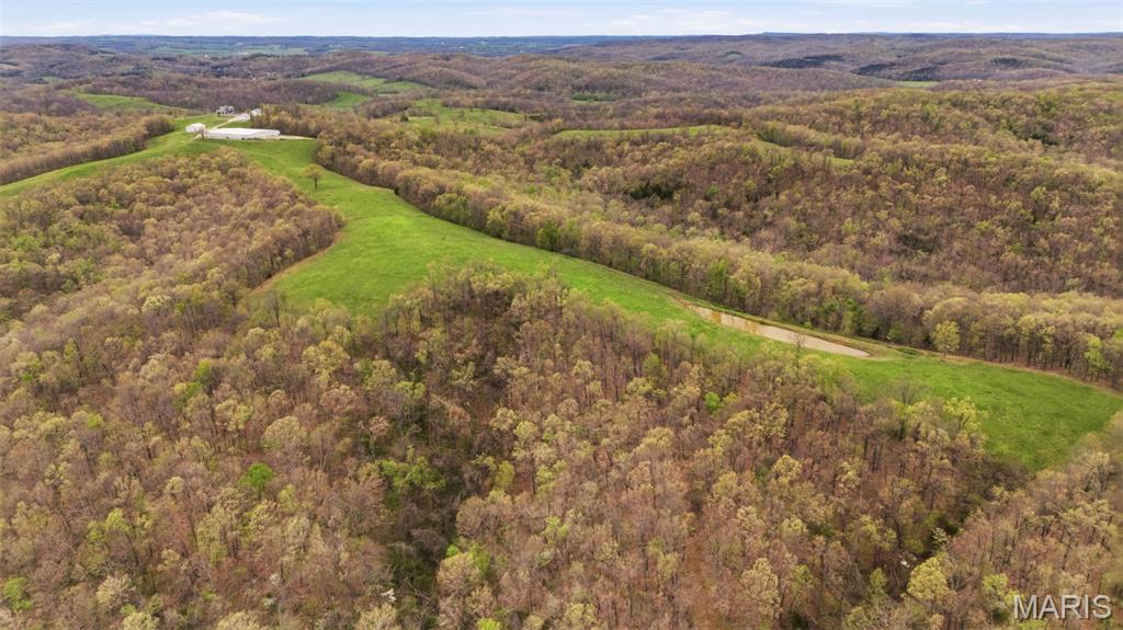 24944 State Rte WW St. Mary, MO 63673 - Photo 51 of 99