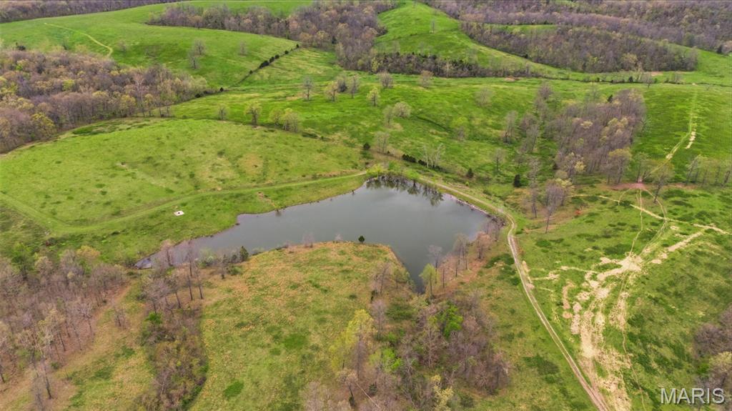 24944 State Rte WW St. Mary, MO 63673 - Photo 52 of 99