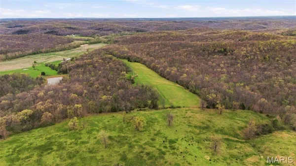 $8,499,999 | 24944 State Rte WW, St. Mary, MO 63673