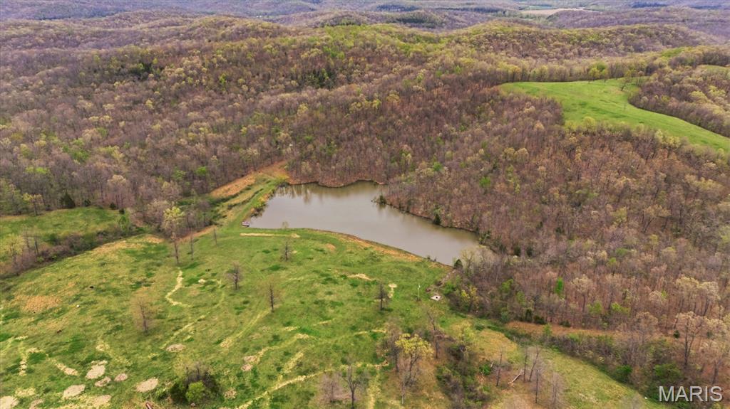 24944 State Rte WW St. Mary, MO 63673 - Photo 53 of 99