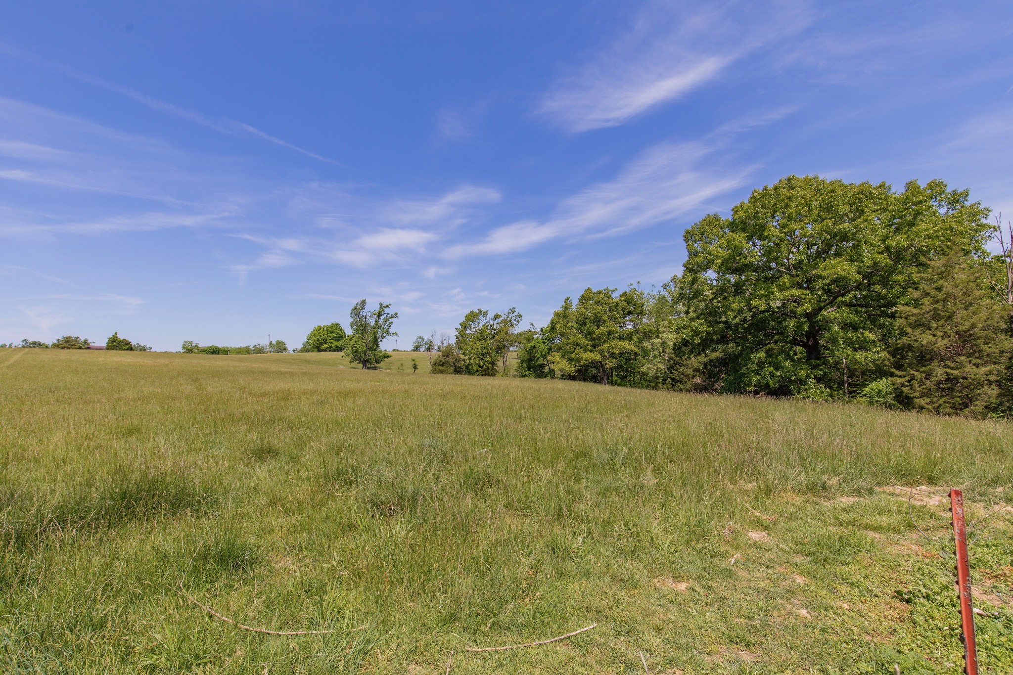 2976 Shrum Cemetery Road Westmoreland, TN 37186 - Photo 47 of 84