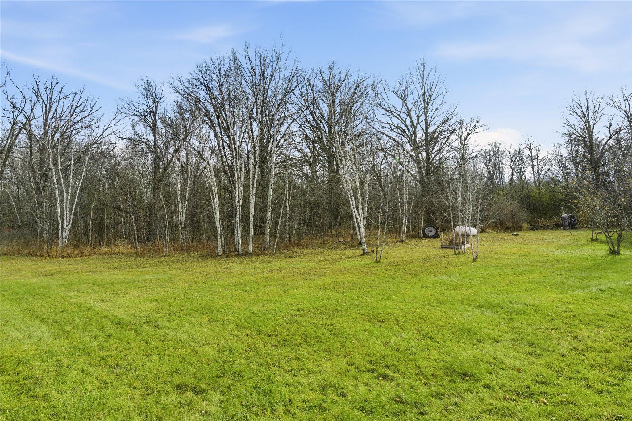 9233 140th Street Milaca, MN 56353 - Photo 5 of 53