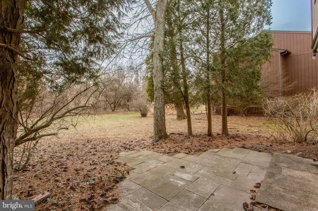 a view of a yard with trees