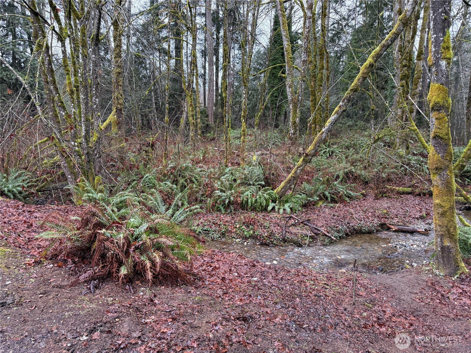 80 East Lucas Creek Road Belfair, WA 98528 - Photo 19 of 20 Gallery Image 19