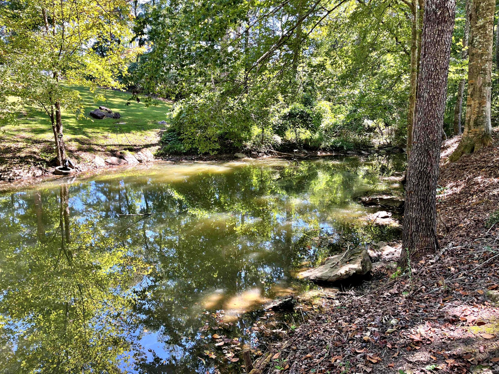 282 White Oak Road Decatur, TN 37322 - Photo 11 of 31