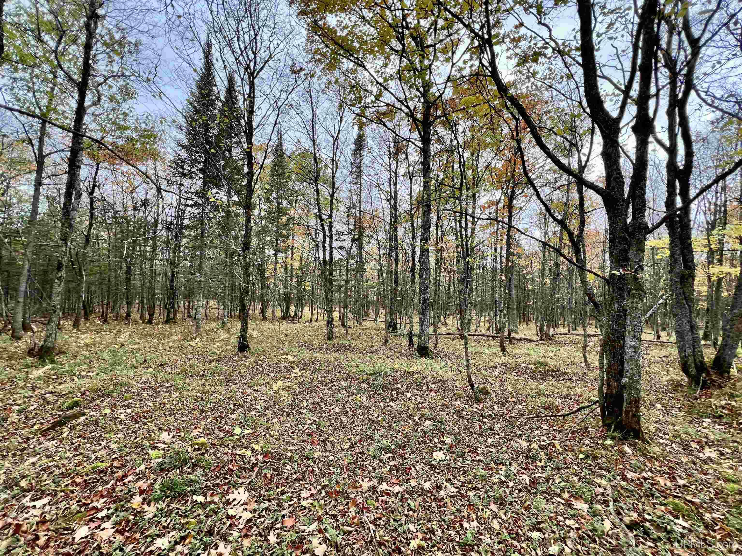 1021 Sedar Hill(parcel D) Road, Unit PARCEL D) Calumet, MI 49913 - Photo 16 of 40