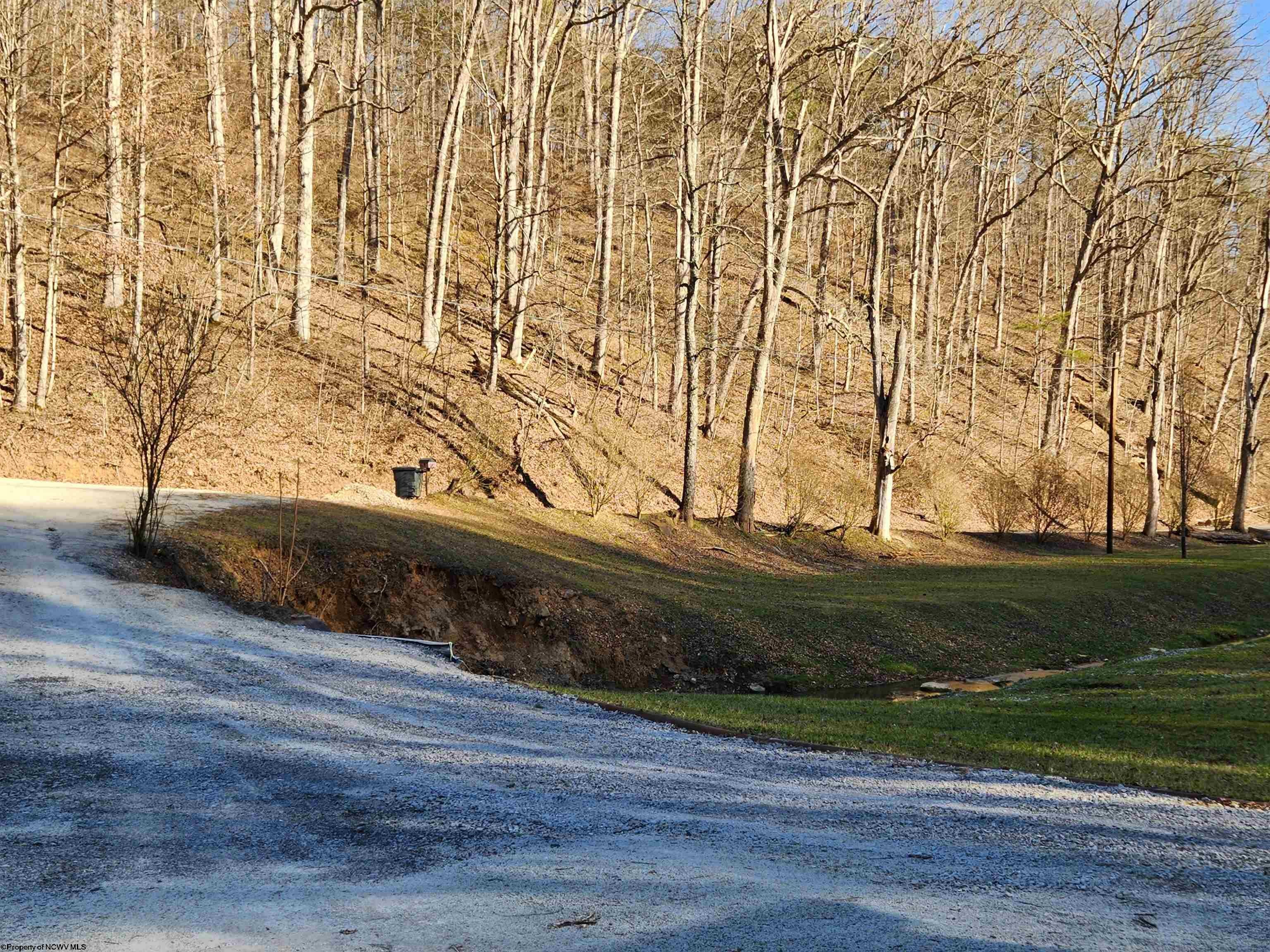 123 Seal Run Road Salem, WV 26426 - Photo 10 of 24 Gallery Image 10