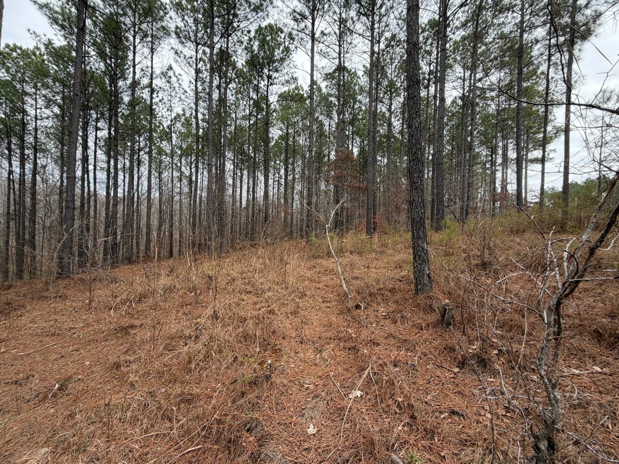 a view of outdoor space with wooden fence