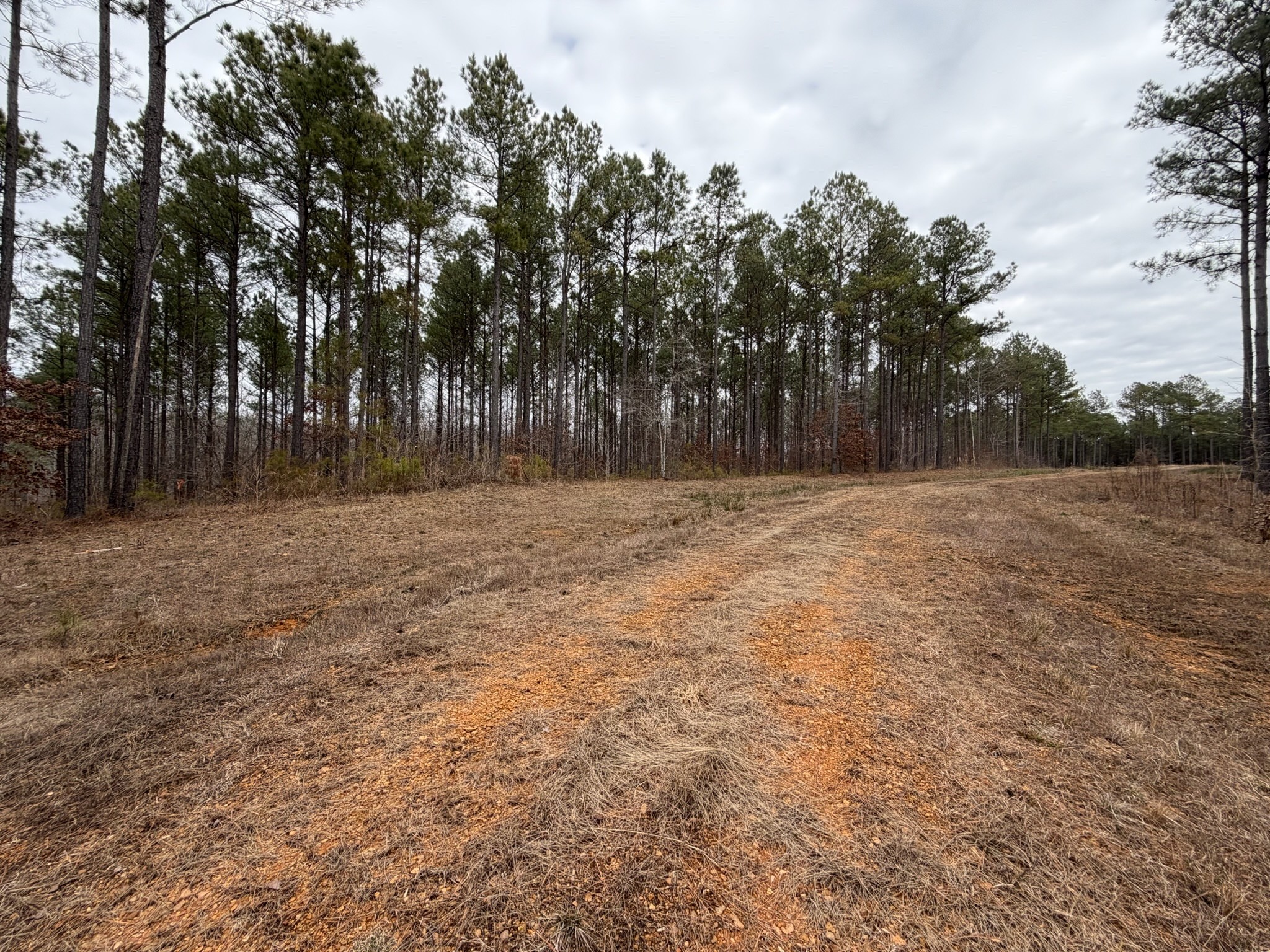 1 B Bartlett Road Reagan, TN 38368 - Photo 14 of 15 a view of basketball court