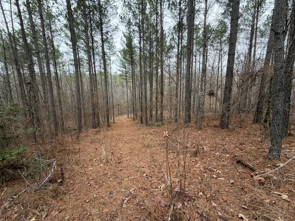 a view of outdoor space with trees