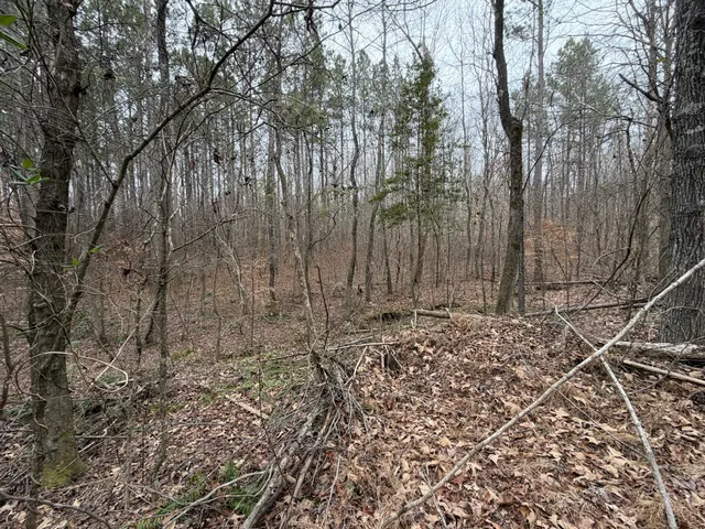 a view of a backyard of the house
