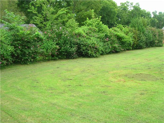 2003 Glencoe Road Culleoka, TN 38451 - Photo 10 of 12 Gallery Image 10