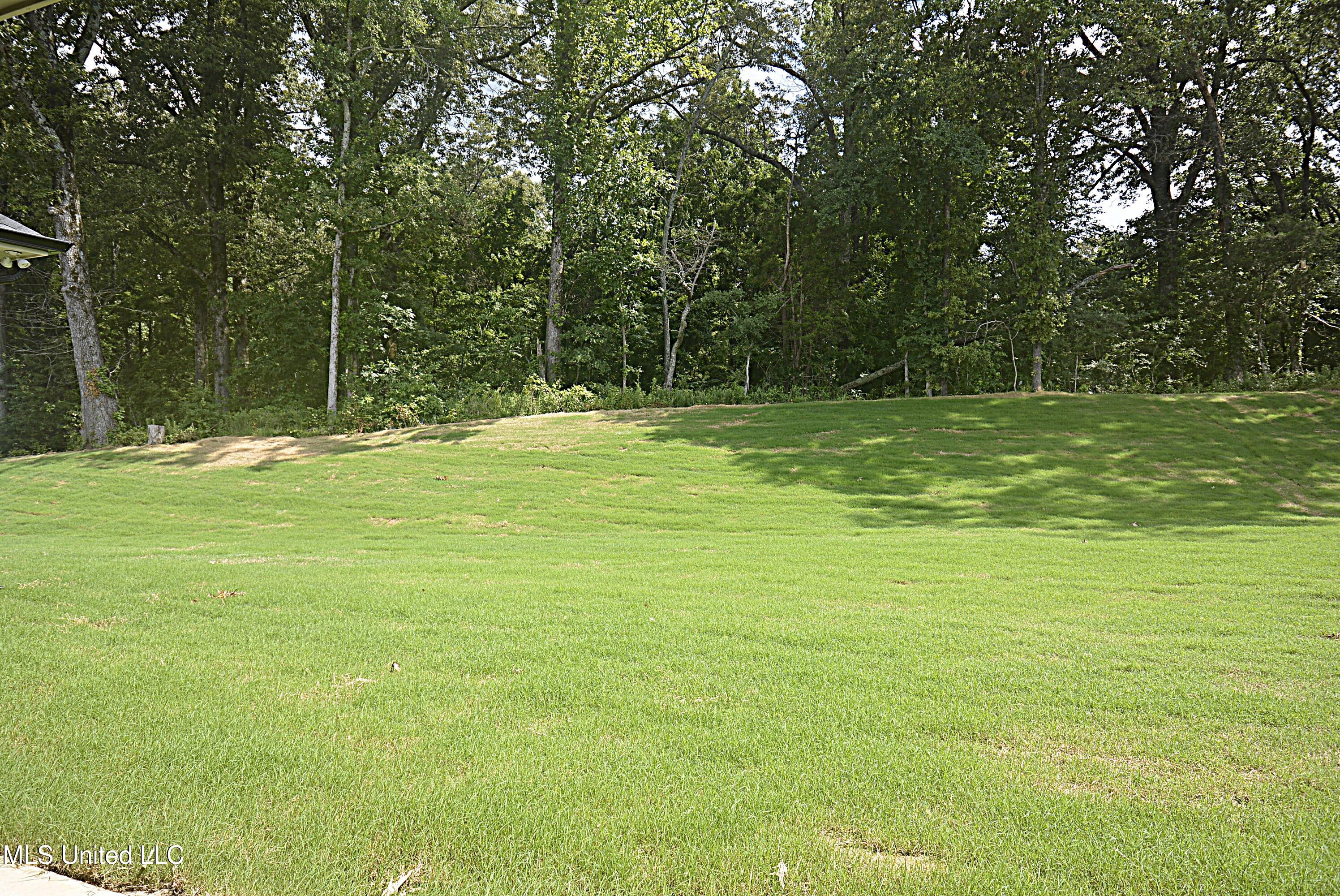 7684 Ridgefield Drive Horn Lake, MS 38637 - Photo 28 of 29 Backyard View
